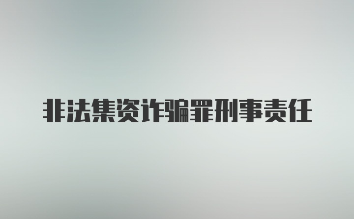 非法集资诈骗罪刑事责任