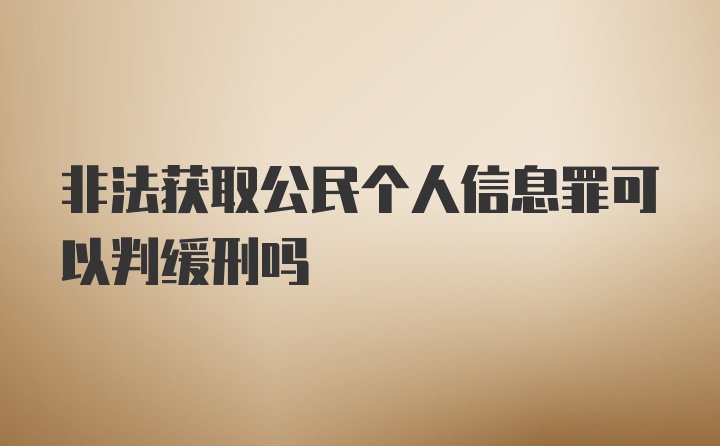 非法获取公民个人信息罪可以判缓刑吗