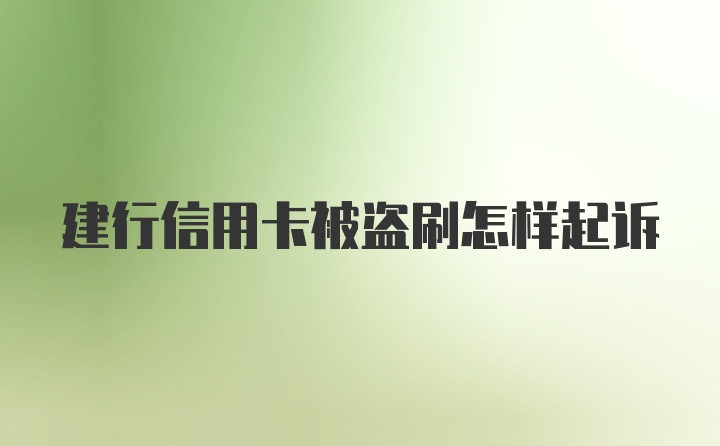 建行信用卡被盗刷怎样起诉