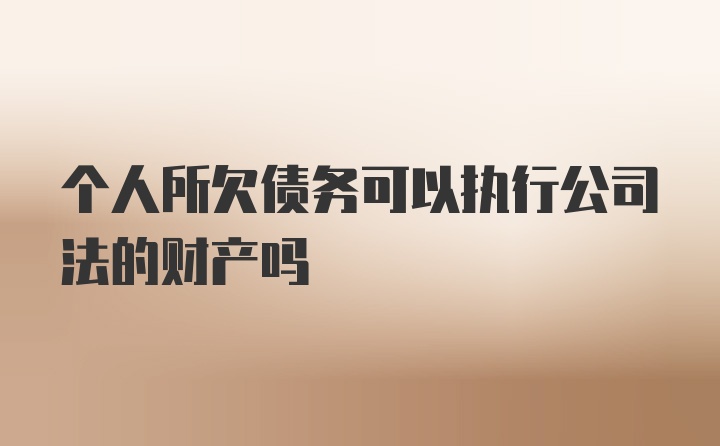 个人所欠债务可以执行公司法的财产吗