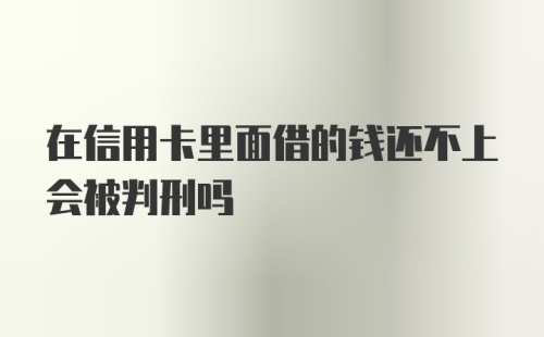 在信用卡里面借的钱还不上会被判刑吗