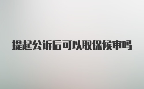 提起公诉后可以取保候审吗