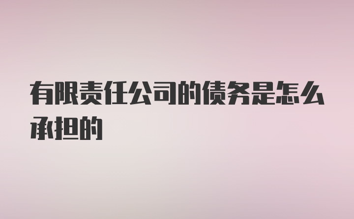 有限责任公司的债务是怎么承担的