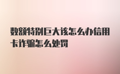 数额特别巨大该怎么办信用卡诈骗怎么处罚