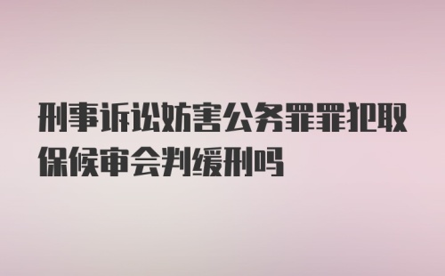 刑事诉讼妨害公务罪罪犯取保候审会判缓刑吗