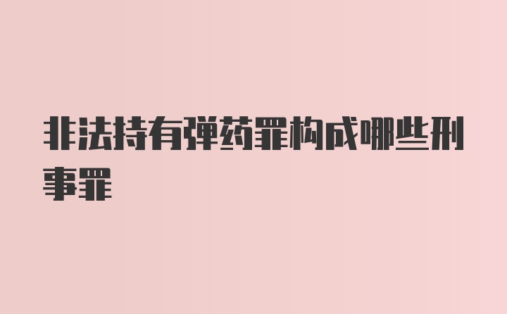 非法持有弹药罪构成哪些刑事罪