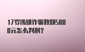 17岁涉嫌诈骗数额5000元怎么判刑？