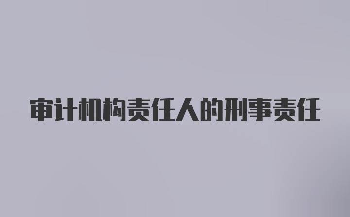 审计机构责任人的刑事责任