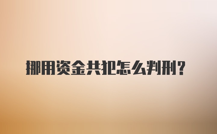 挪用资金共犯怎么判刑？