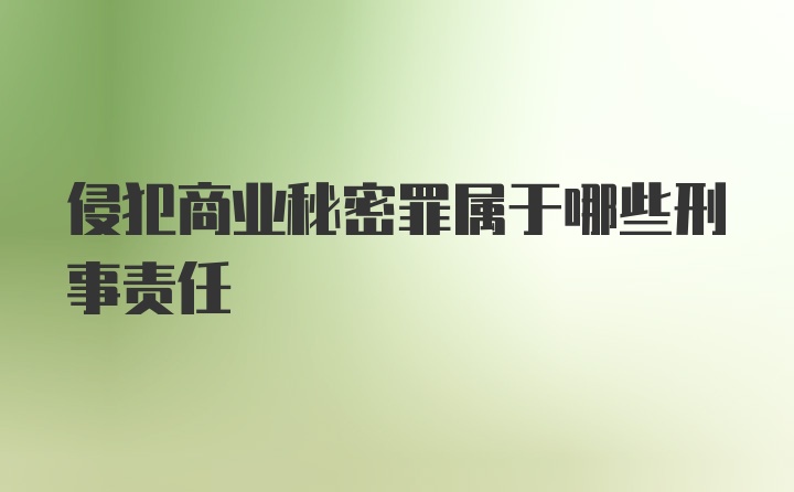 侵犯商业秘密罪属于哪些刑事责任