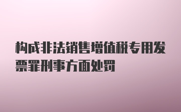 构成非法销售增值税专用发票罪刑事方面处罚