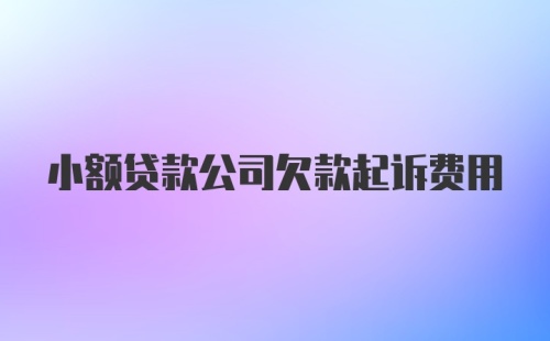 小额贷款公司欠款起诉费用