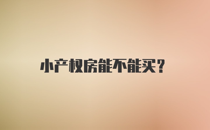 小产权房能不能买？