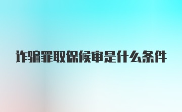 诈骗罪取保候审是什么条件