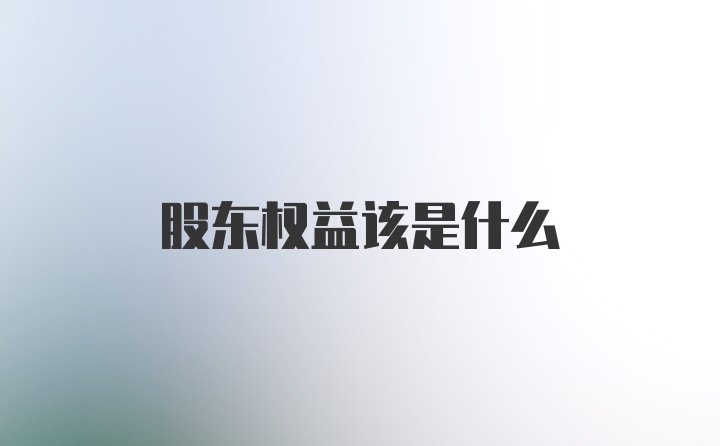 股东权益该是什么