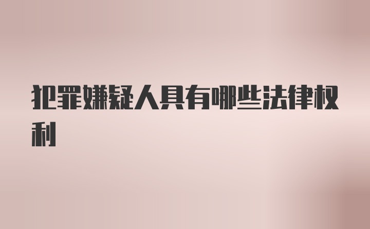 犯罪嫌疑人具有哪些法律权利