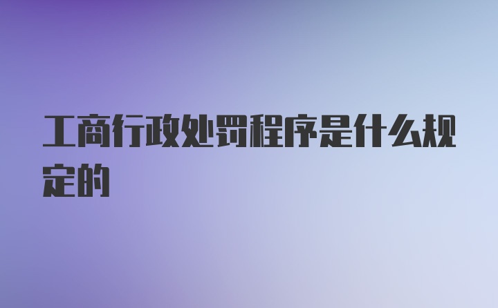 工商行政处罚程序是什么规定的