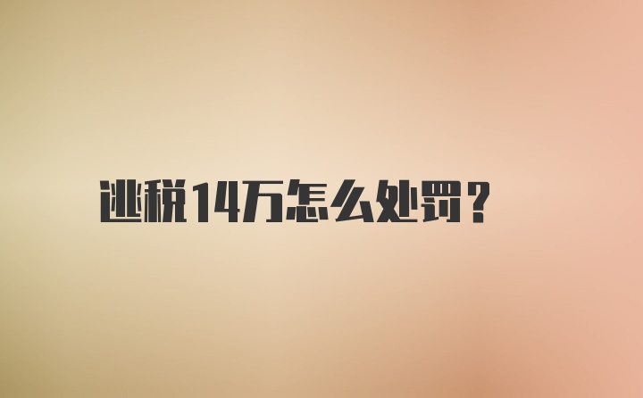 逃税14万怎么处罚？