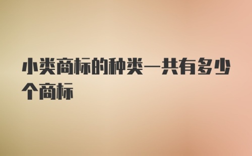 小类商标的种类一共有多少个商标