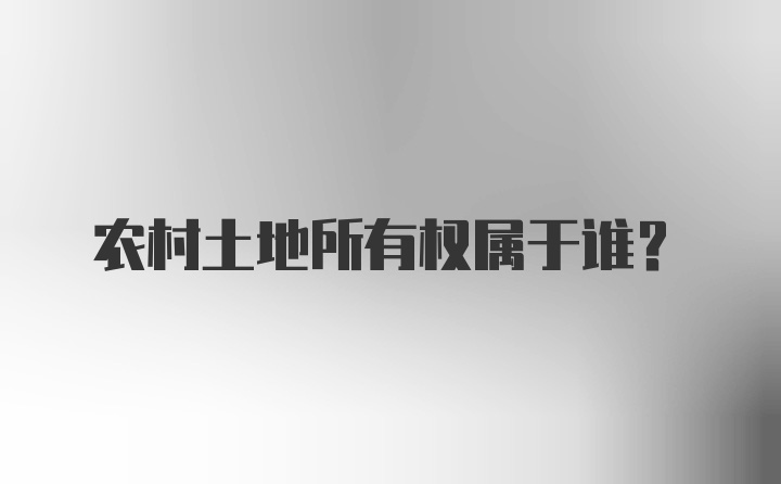 农村土地所有权属于谁？