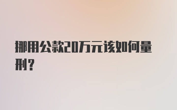 挪用公款20万元该如何量刑？