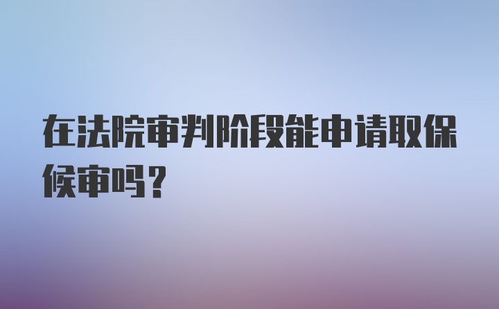 在法院审判阶段能申请取保候审吗？