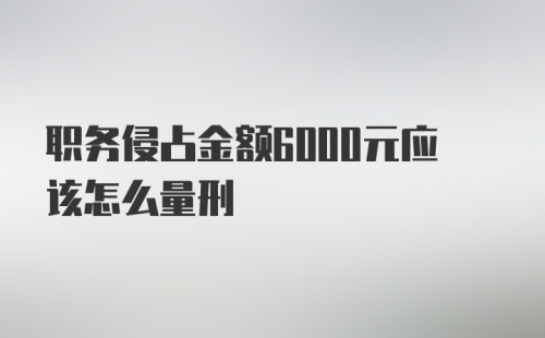 职务侵占金额6000元应该怎么量刑