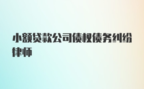 小额贷款公司债权债务纠纷律师