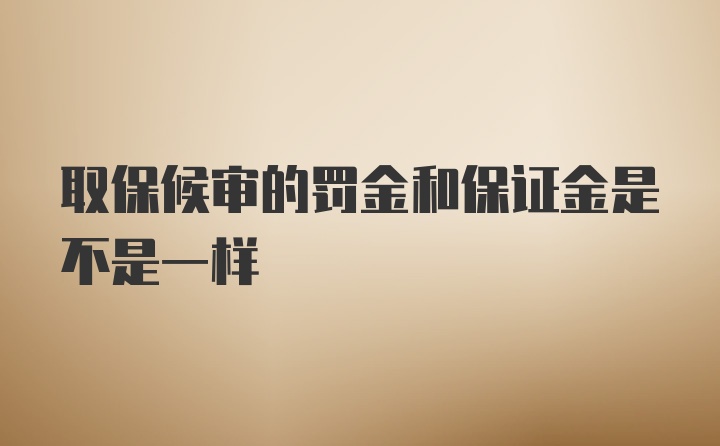 取保候审的罚金和保证金是不是一样