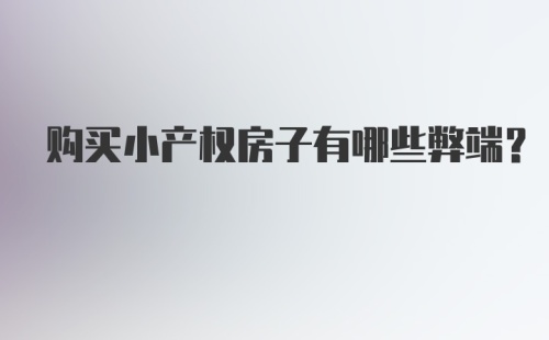 购买小产权房子有哪些弊端？