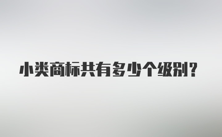 小类商标共有多少个级别？