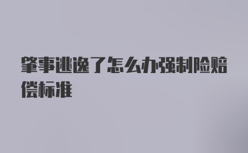 肇事逃逸了怎么办强制险赔偿标准