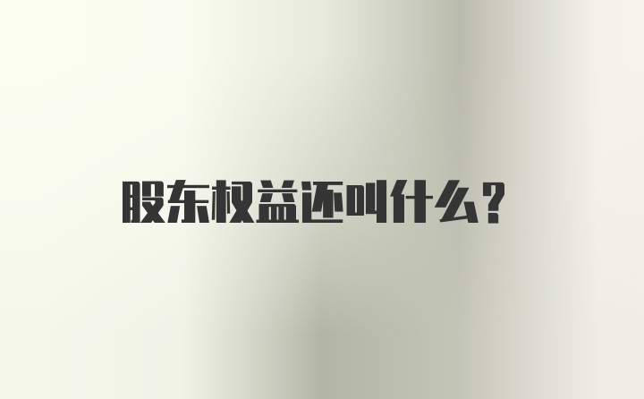 股东权益还叫什么？