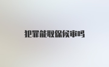 犯罪能取保候审吗