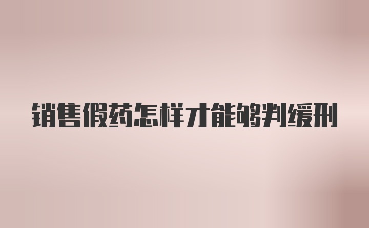 销售假药怎样才能够判缓刑