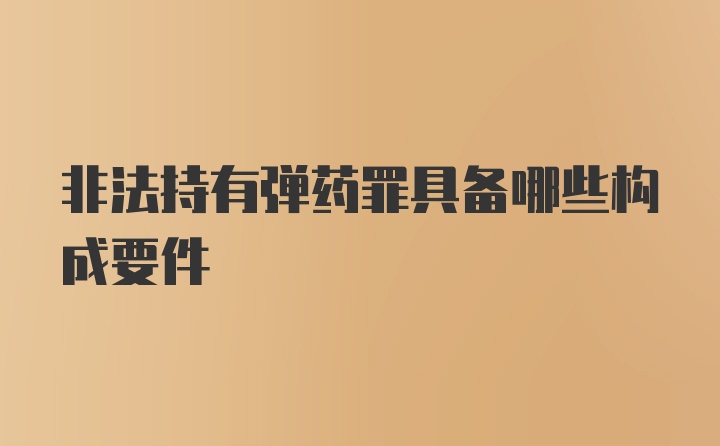 非法持有弹药罪具备哪些构成要件