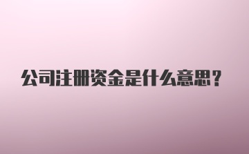 公司注册资金是什么意思？