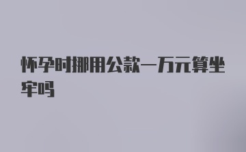 怀孕时挪用公款一万元算坐牢吗