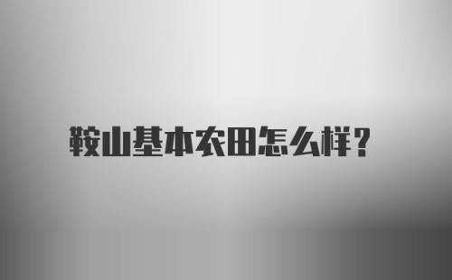 鞍山基本农田怎么样？