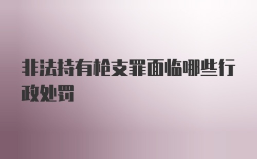 非法持有枪支罪面临哪些行政处罚