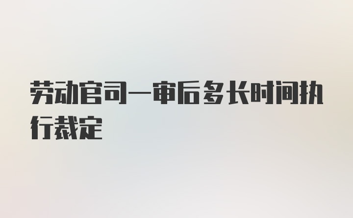 劳动官司一审后多长时间执行裁定