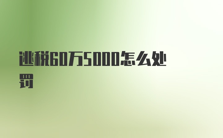 逃税60万5000怎么处罚