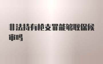 非法持有枪支罪能够取保候审吗