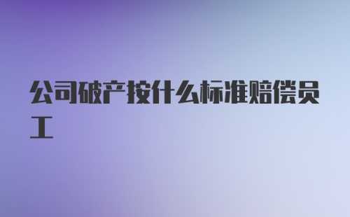 公司破产按什么标准赔偿员工