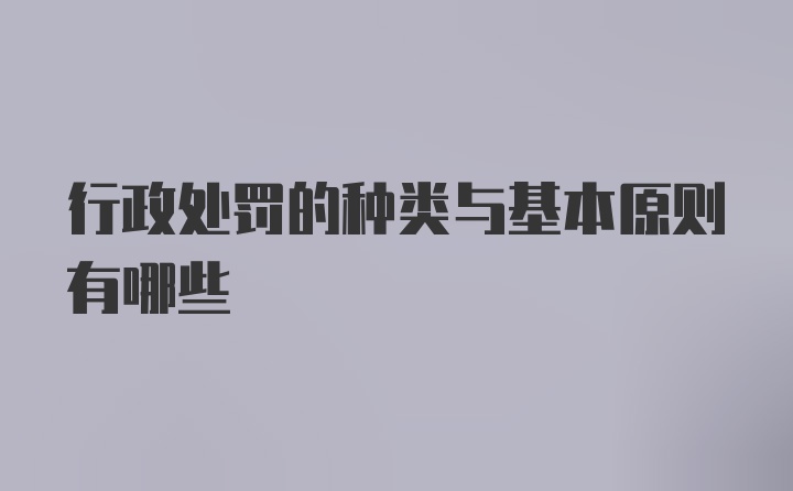 行政处罚的种类与基本原则有哪些