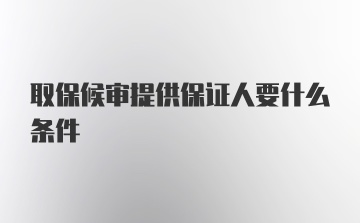 取保候审提供保证人要什么条件