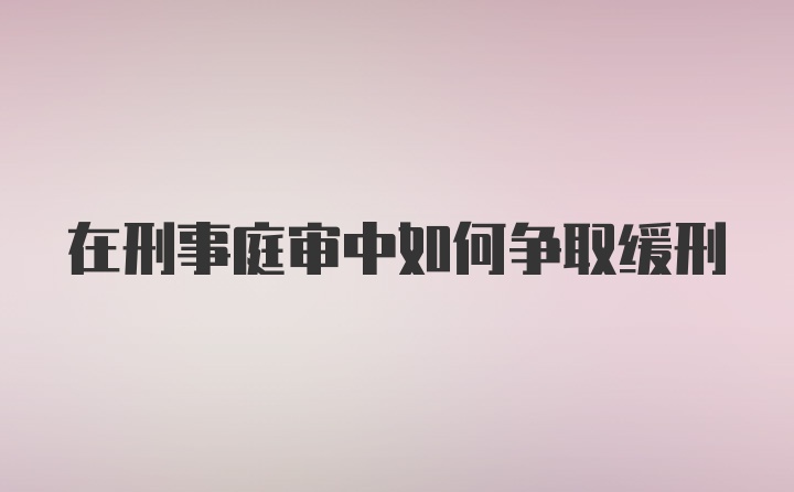 在刑事庭审中如何争取缓刑