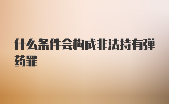 什么条件会构成非法持有弹药罪