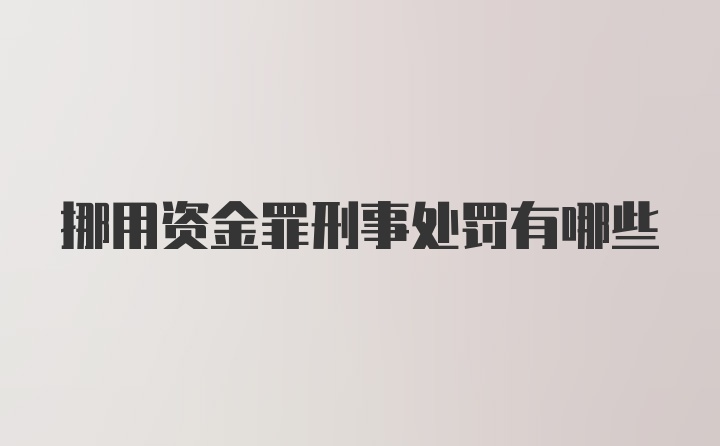 挪用资金罪刑事处罚有哪些