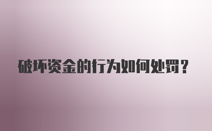 破坏资金的行为如何处罚？